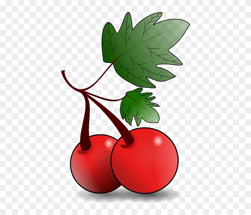Green, Apple, Food, Fruit, Drawing, Leaf, Tree - Fruit Clip Art #384926