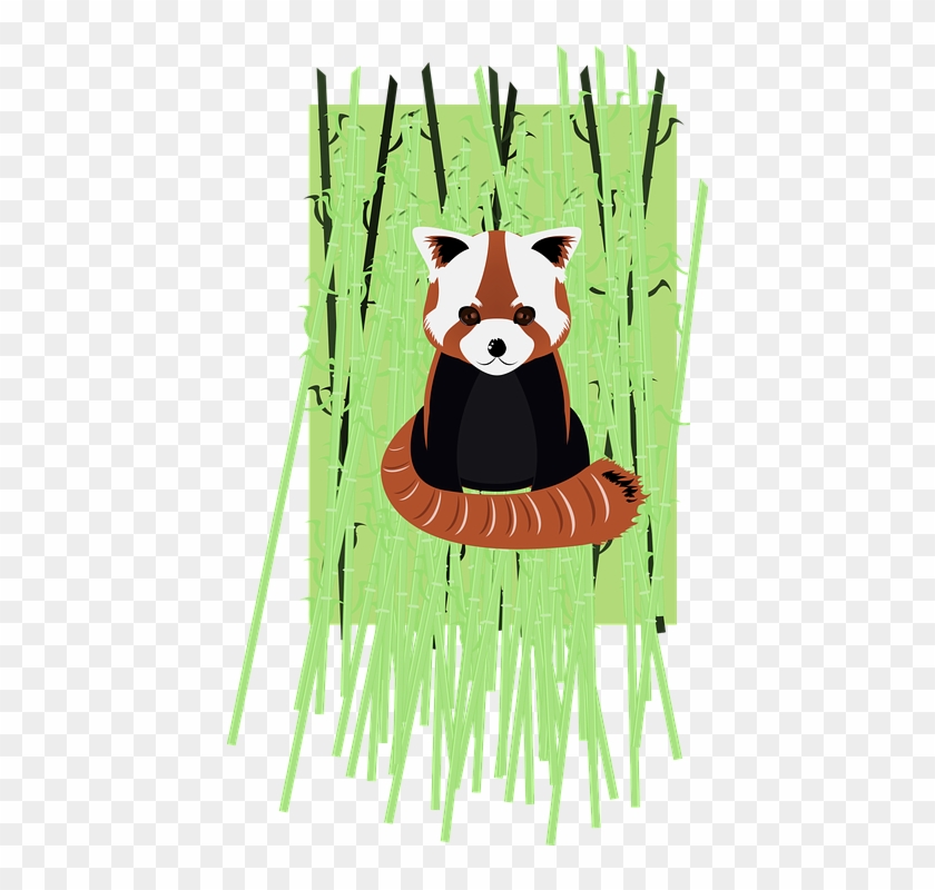 Bamboo Cliparts 24, - Red Panda Painting Journal: Take Notes, Write Down #384933