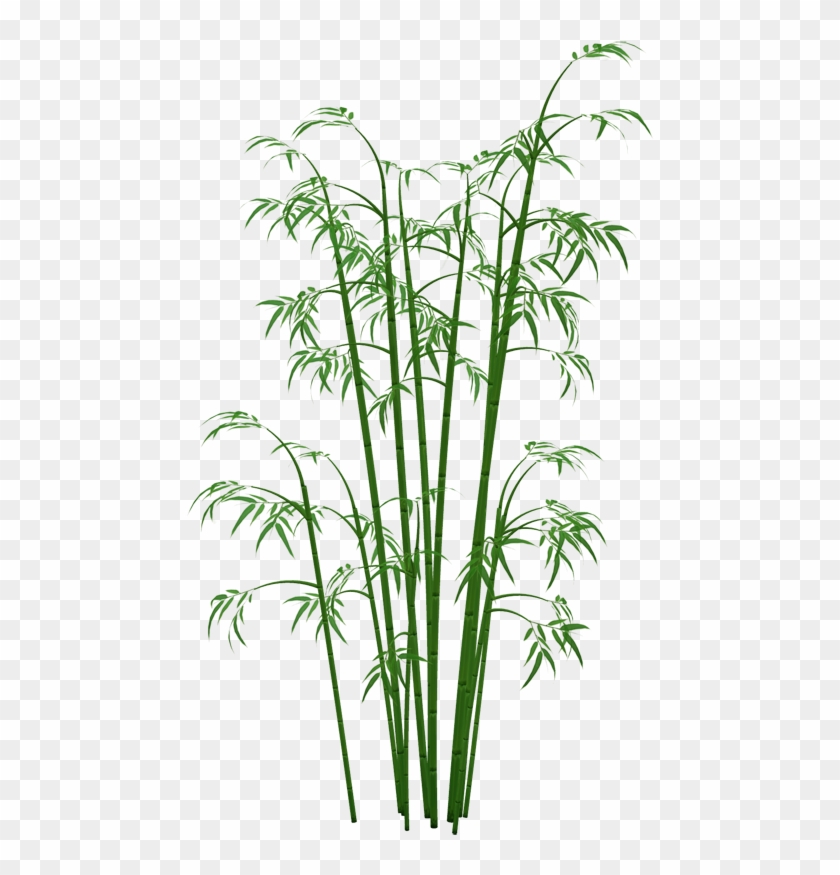 Bamboo - Bamboo Png #384940
