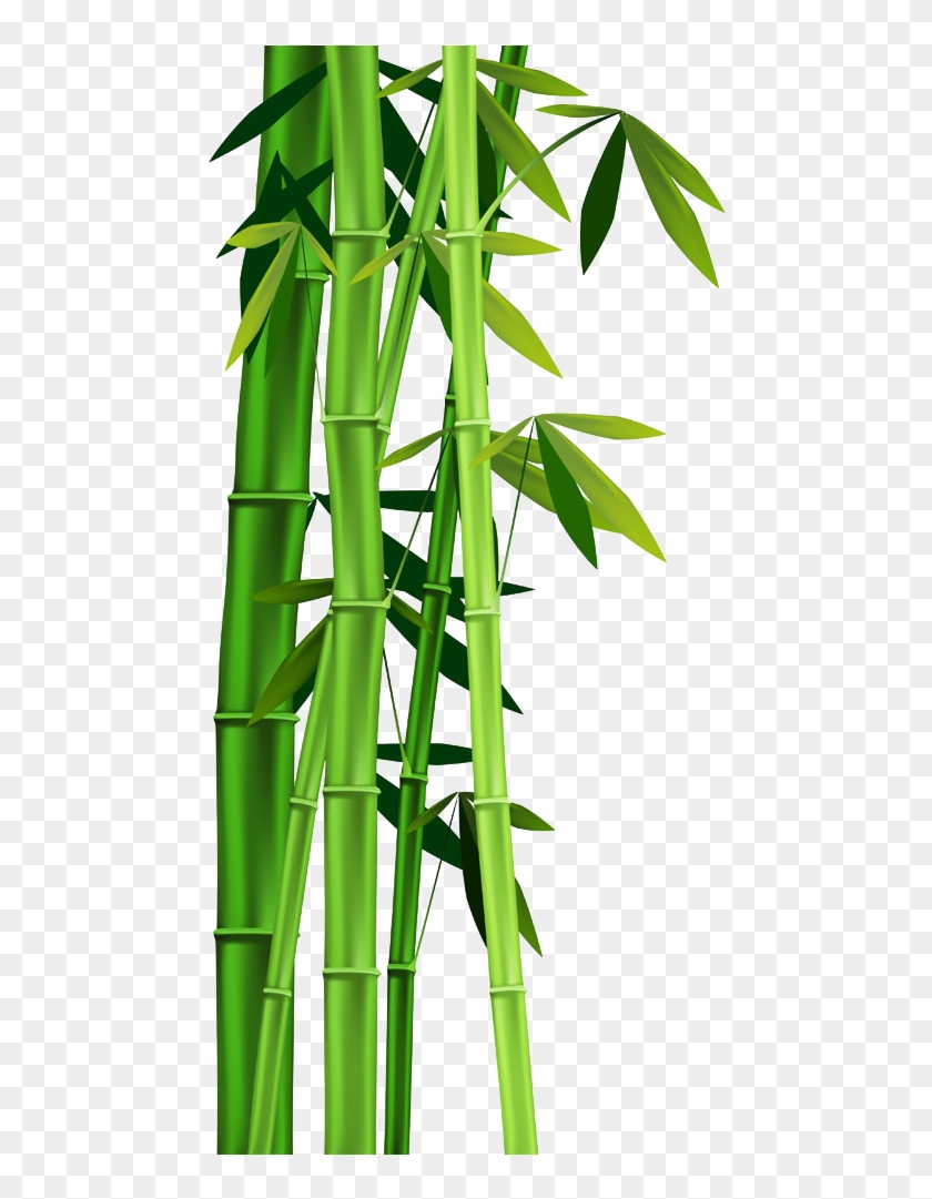 Bamboo Plant Stem Clip Art - Faceapeel Blackhead Remover Mask [removes Blackheads] #384958