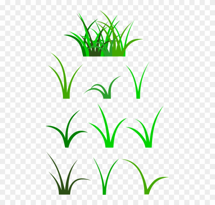 Bamboo Cliparts Free 21, - Blade Of Grass Clip Art #384964