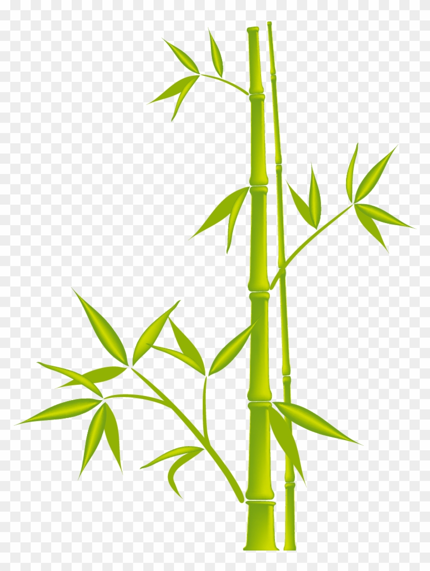 Bamboo Royalty Free Clip Art Bamboo 1042 1042 Transprent - Bamboo Royalty Free Clip Art Bamboo 1042 1042 Transprent #384991