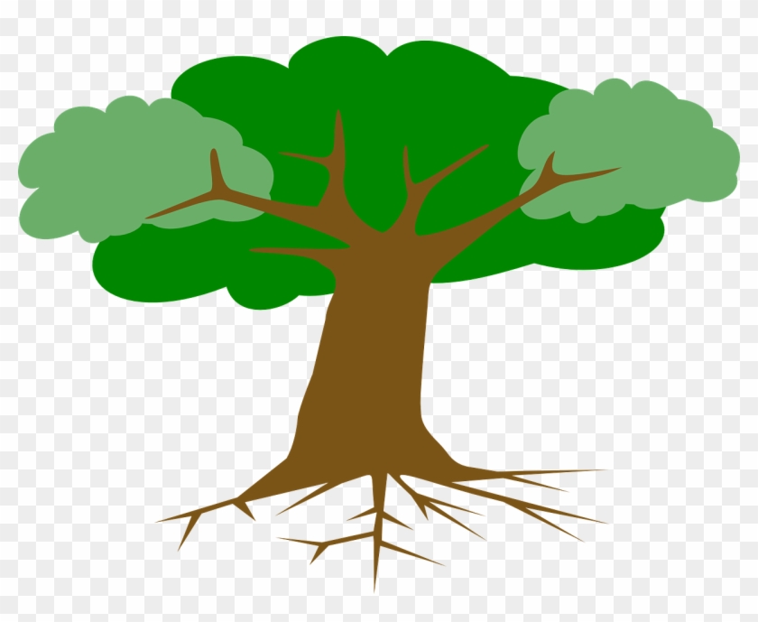 Tree Roots Leaves Cross Section Png Image - Arbol Con Su Raiz #385033