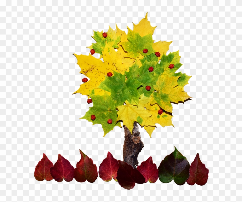 Autumn Png 26, Buy Clip Art - Collage Tree Art #385045