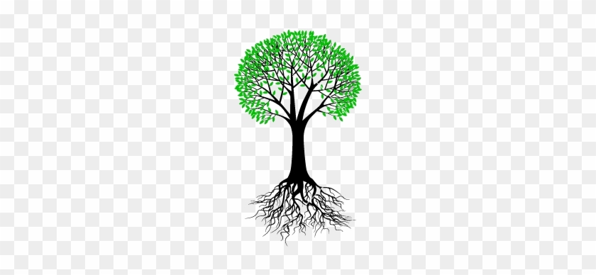 Tree Branch Vector Png About Us - Tree With Roots Vector #385074