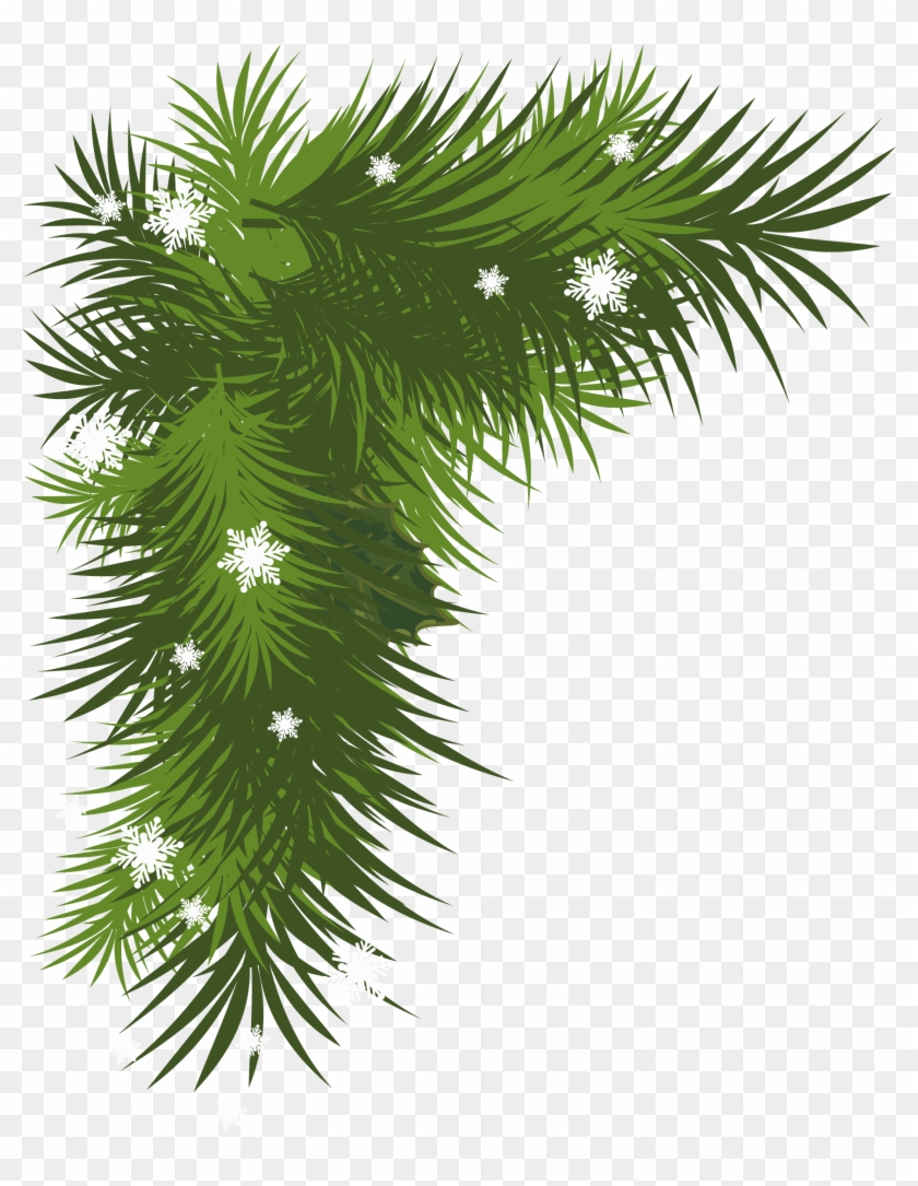 Branch Spruce Christmas Tree Vector - Christmas Day #385176