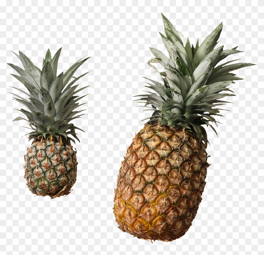 Best 25 Pineapple Clipart Ideas On Mzayat - Pineapple Transparent Background Png #385248