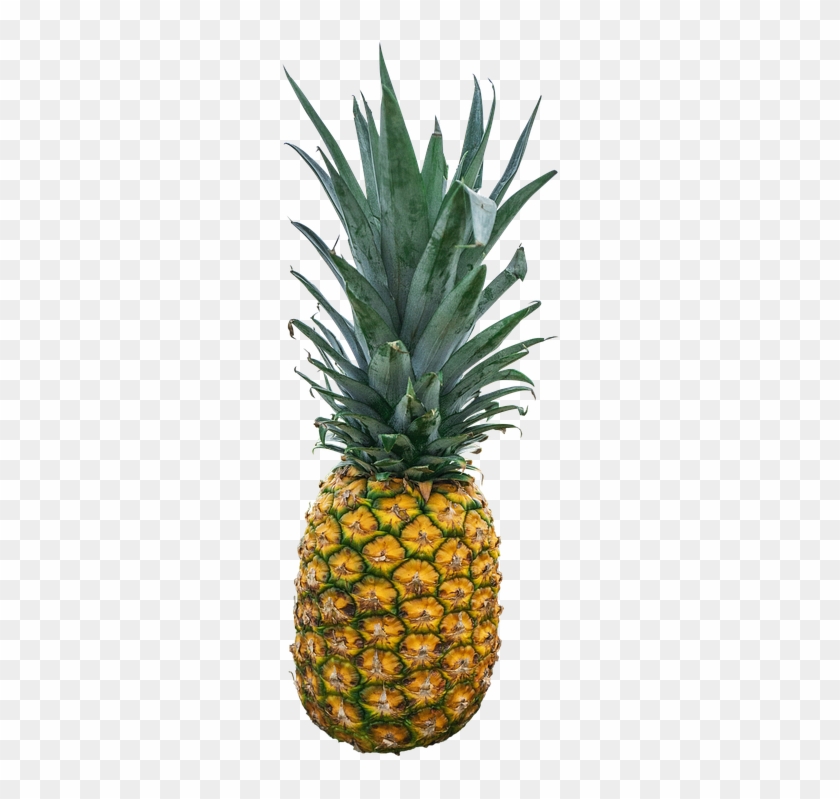 Green Pineapple Cliparts 16, Buy Clip Art - Reasons Why Pineapple Should Go On Pizza: Proving Why #385261
