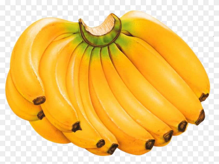 Banana Vector - Banana Png #385371
