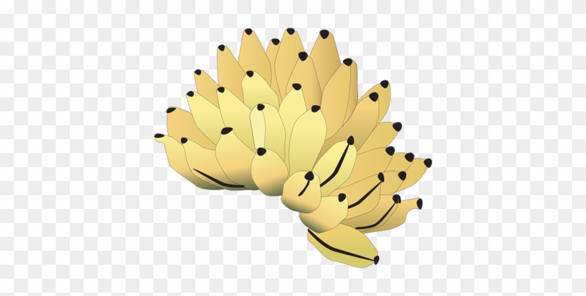 Drawn Banana Banana Bunch - Bunch Of Banana Drawing #385375