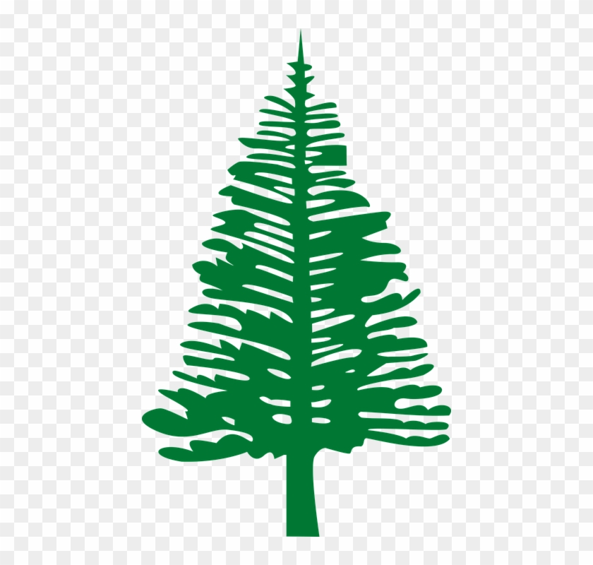 Pine Tree Vector - Norfolk Flag #385395