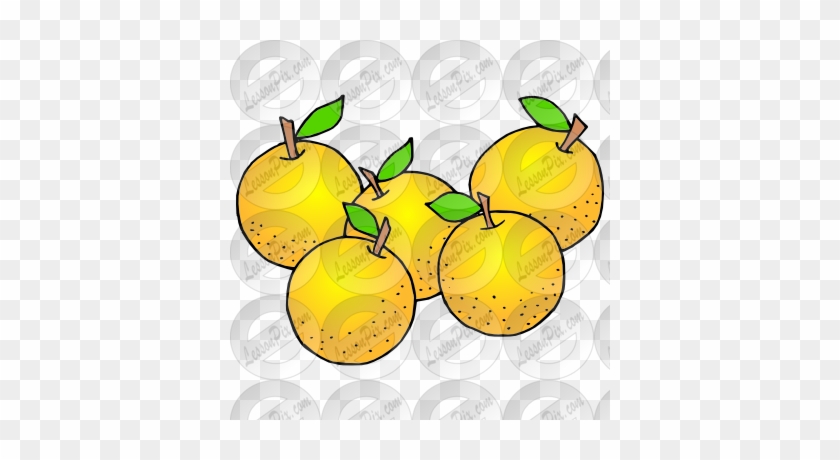 Oranges Clipart - 5 Oranges Clipart Black And White #385420