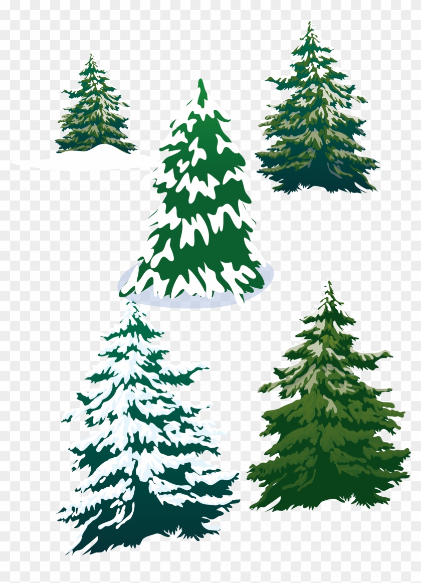 Vector Snowy Pine Trees - Vector Snowy Pine Trees #385643