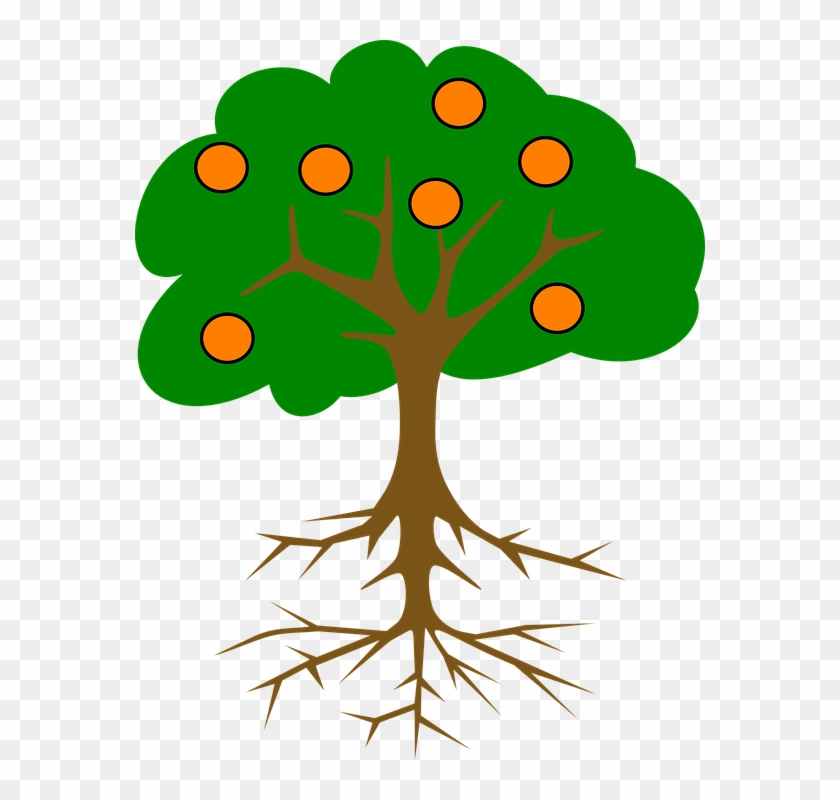 Cartoon Orange Tree - Tree With Roots And Fruits #385450