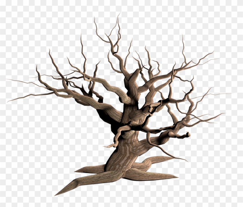 Cartoon Dead Tree 8, Buy Clip Art - Dead Tree Transparent Background #385559