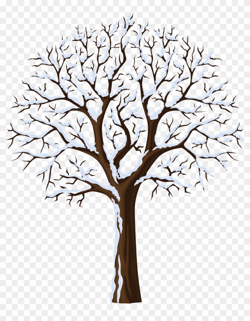 Winter Tree Clipart - Tree Winter Clip Art #385605