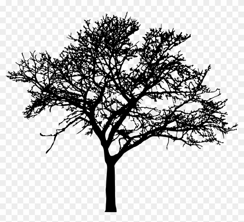 45 Tree Silhouettes Png Transparent Background - Tree Silhouette Png #385628