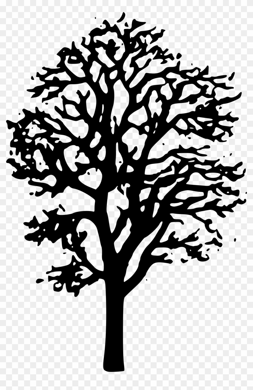 Maple Tree Black And White Clipart - Maple Tree Black And White #385639