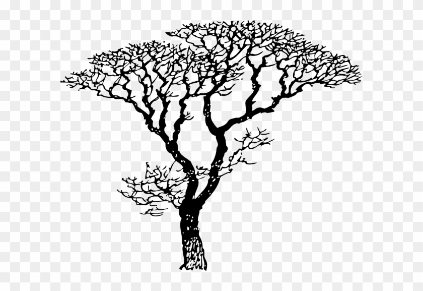 Black And White Tree Drawing #385656
