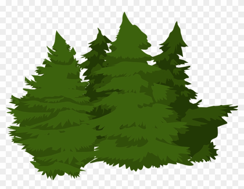 Vector Pine Trees 17, Buy Clip Art - Christmas In The North Woods #385663