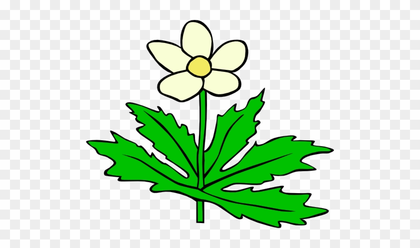 Lisätyt Kuvat - Plants And Flowers Clipart #385671