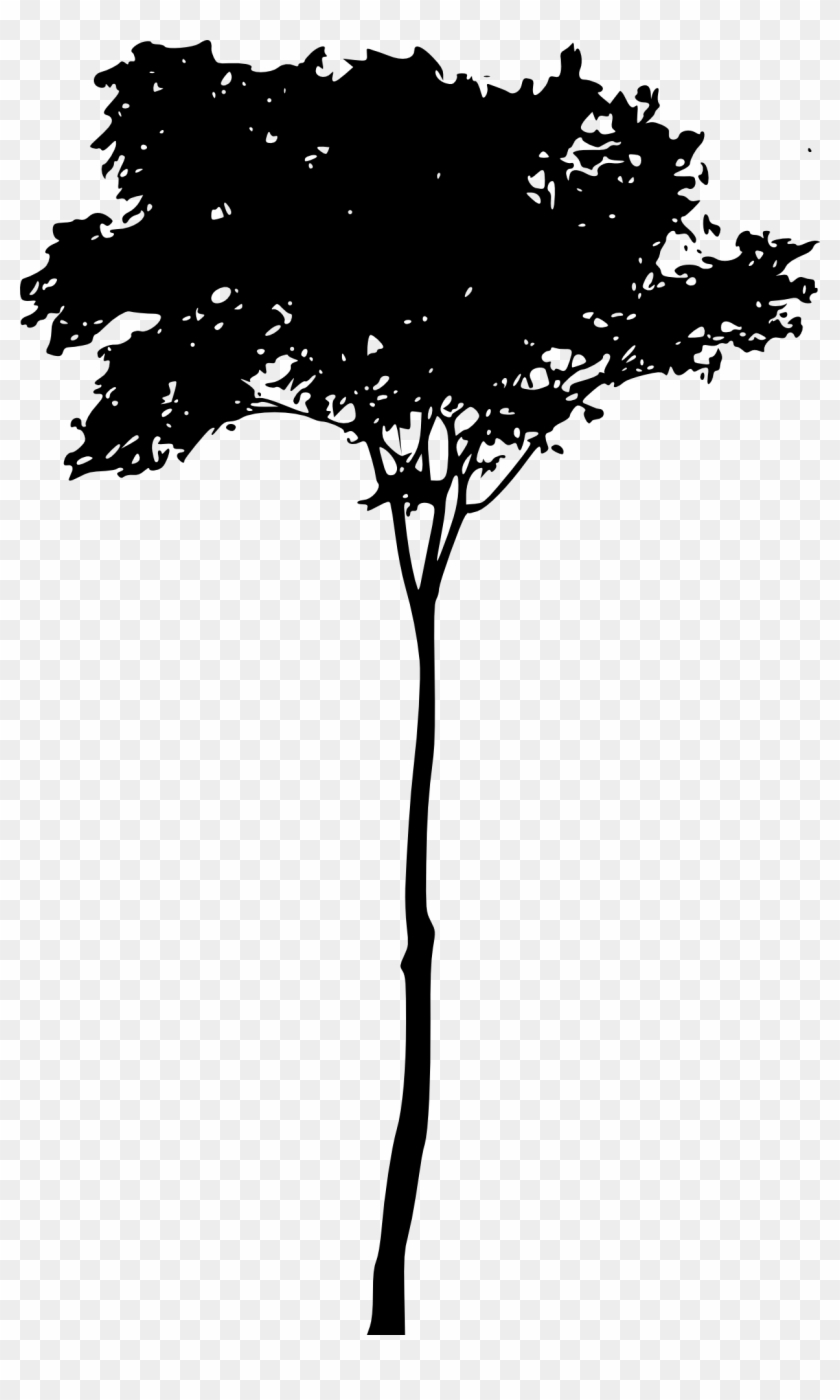 Free Download - Silhouette #385692