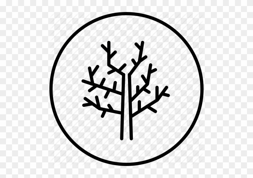 Fall, Stick, Tree, Winter, Wooden Icon Icon Search - Stick Tree Icon #385698