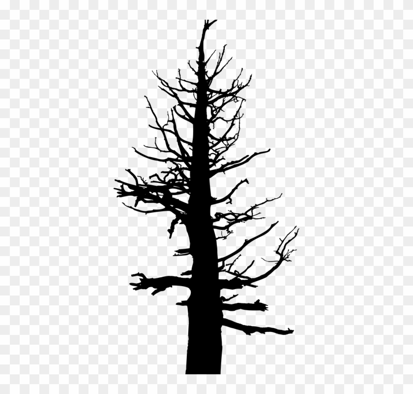 Dead Tree Cartoon 13, Buy Clip Art - Old Dead Pine Tree #385713