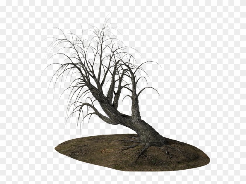 Dead Tree Cartoon 28, Buy Clip Art - Tree #385764