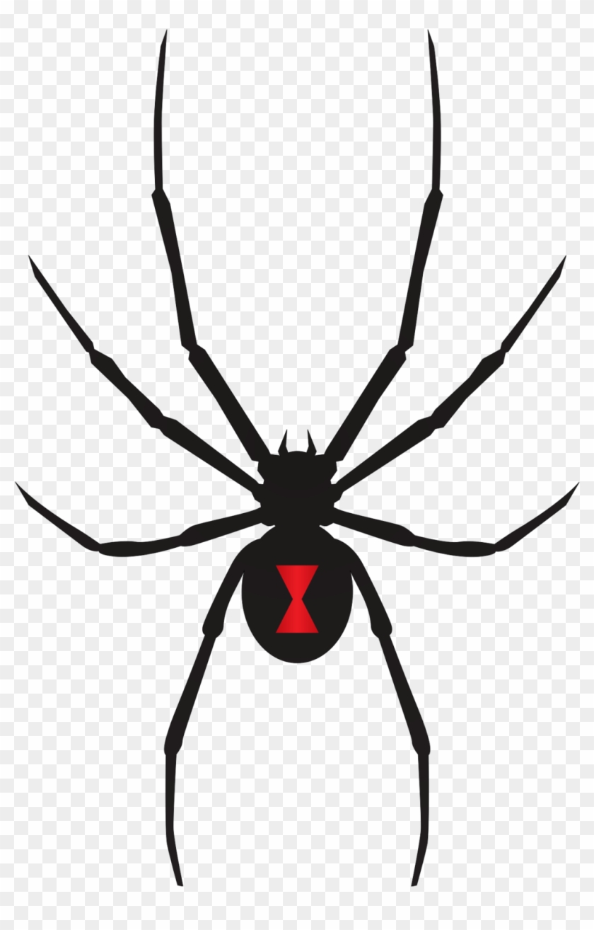 Video Chat Clip Art - Symbol Spider Black Widow #385852