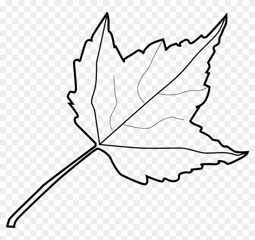 Leaf Drawing Outline At Getdrawings Com Free For Personal - Outline Image Of Leaf #386009