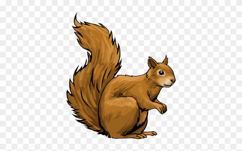 Squirrel Clip Art - Squirrel Clip Art #61449