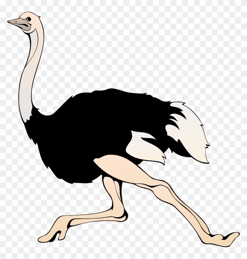 Running Ostrich Clip Art - Words With Letter O #61489