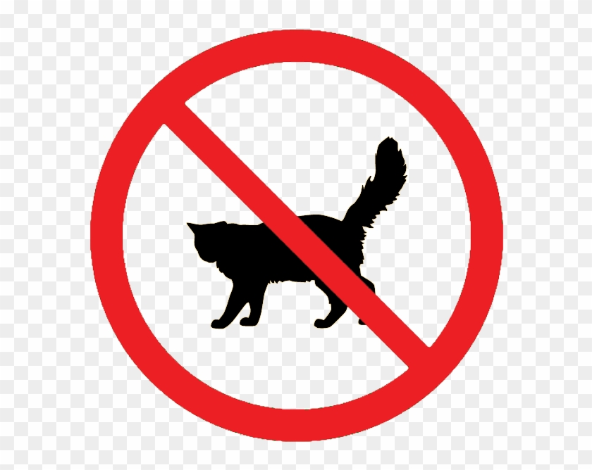 Signs That Tell You No - No Cats Allowed Sign #62072