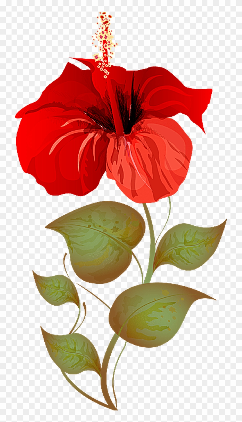 Craft - Hibiscus Plant Clipart #62249