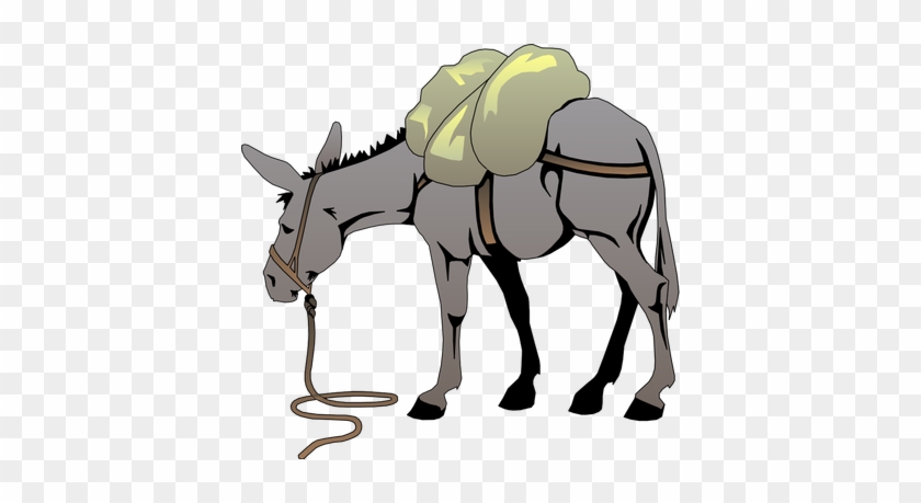 Donkey Clip Art #62371