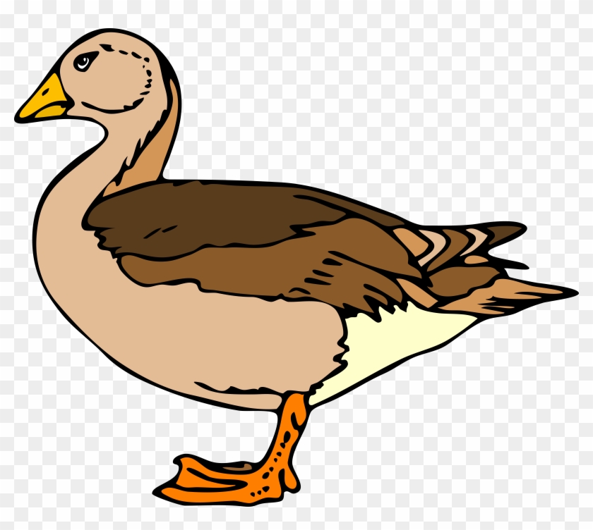 Duck Image Clip Art - Duck Clip Art #62691