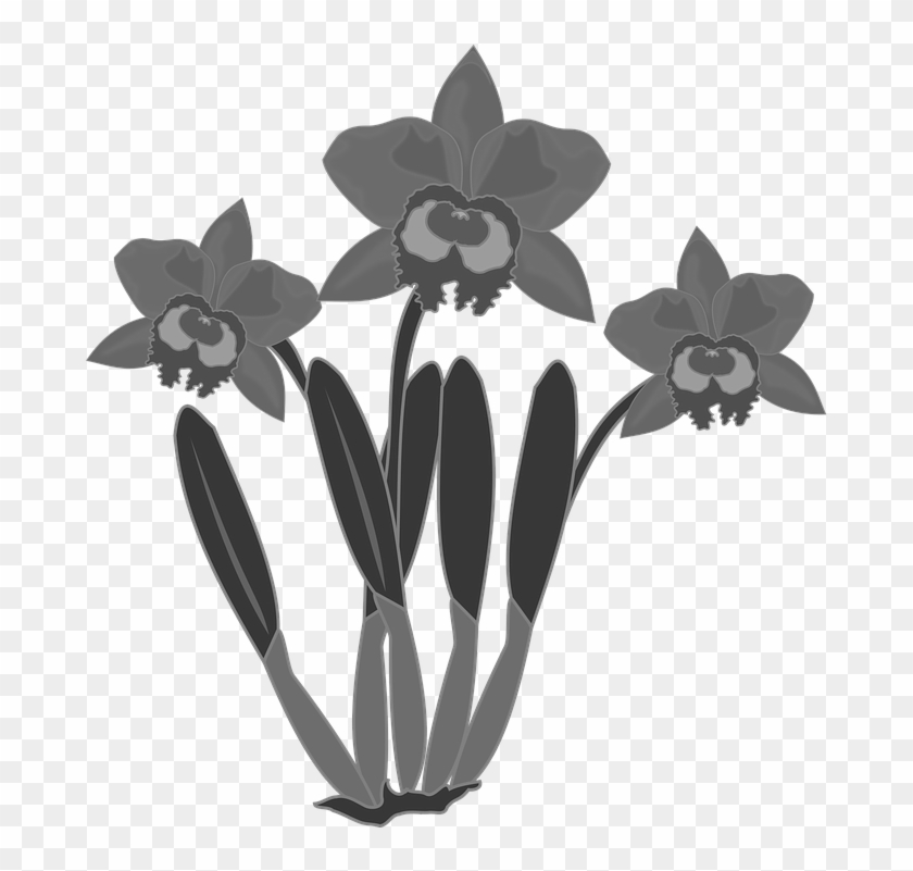 Clipart Flor Flore Fleur Nature Orchidée - Bunga Anggrek Vektor #62715