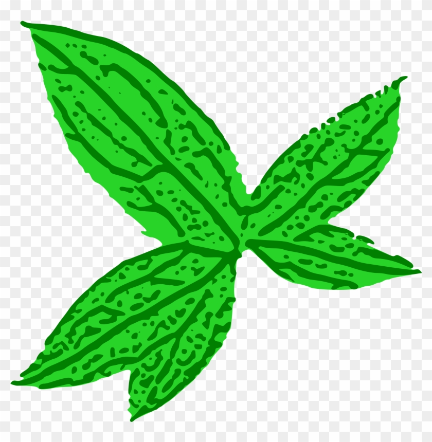 Free Green Leaf - Green Leaf Clip Art #62738