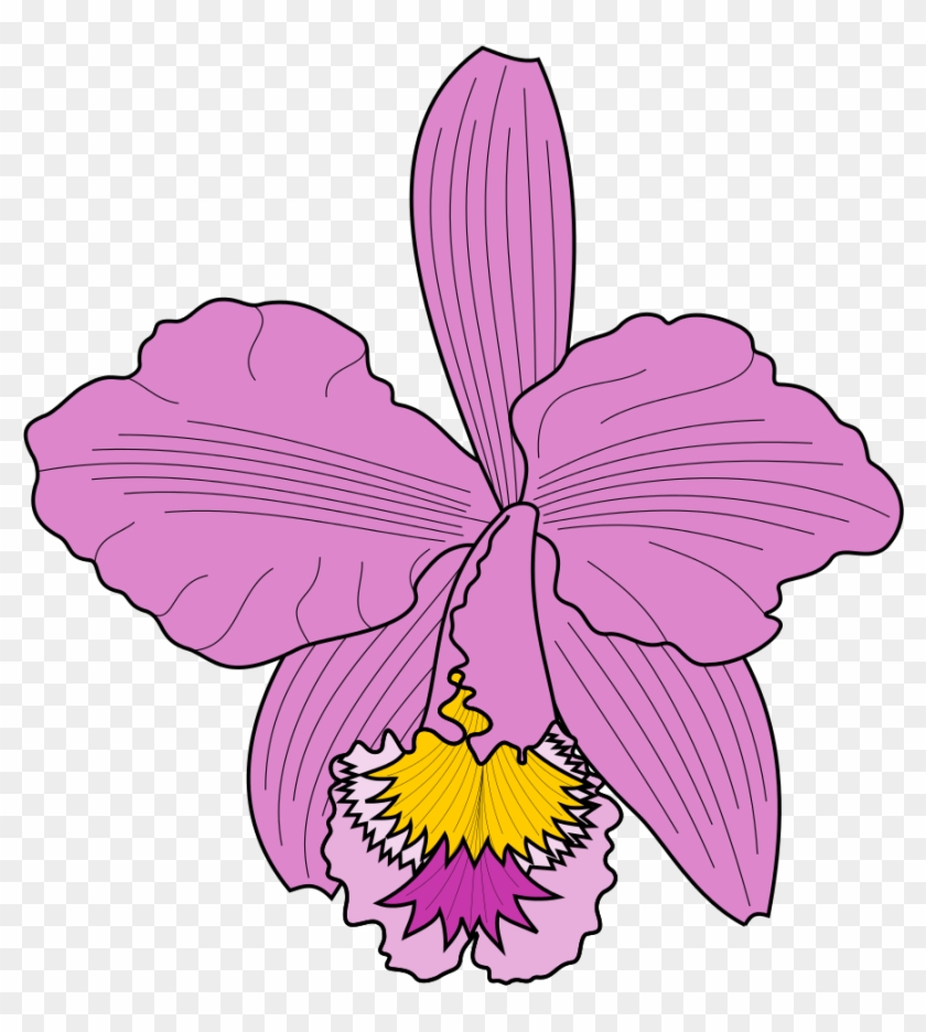 Cattleya Trianae Icon - Cattleya Vector #62744