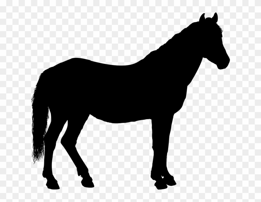 Kostenloses Bild Auf Pixabay - Horse Silhouette #62781