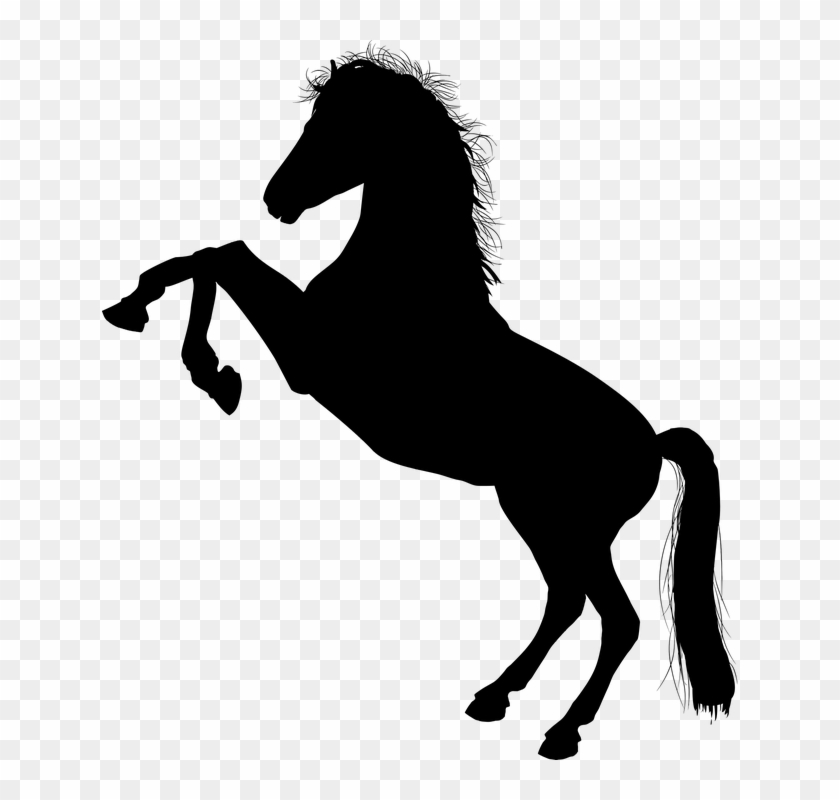 Tier, Schwarz, Pferde, Pferd, Realistische, Fahrt - Clip Art Horse Silhouette #62790