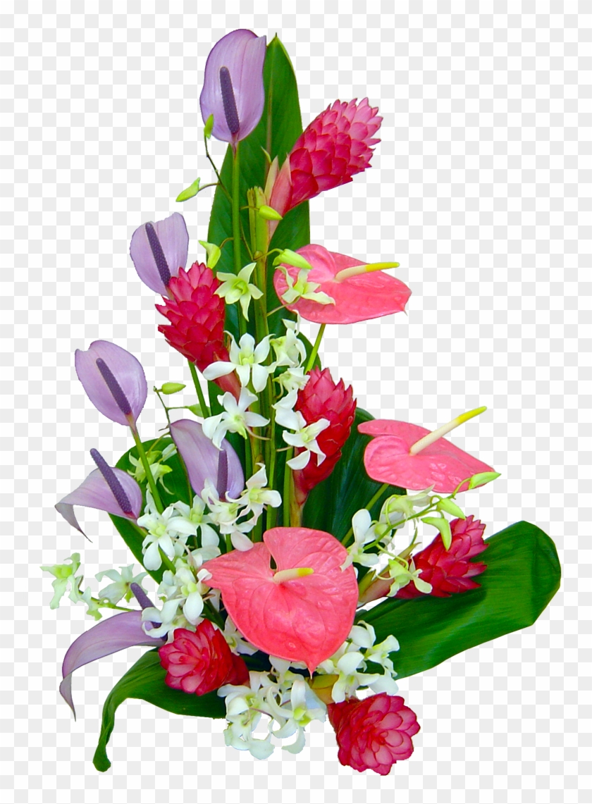 Orchid Flower Clipart - Flower #62841