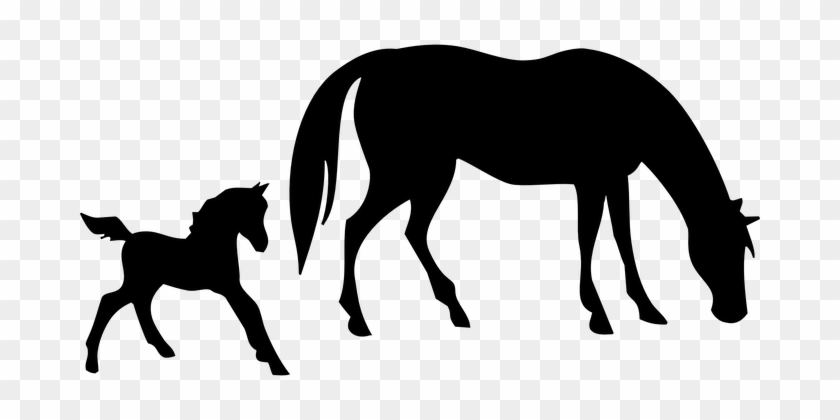 Animals Horse Mare Foal Broodmare Animal S - Horse Silhouette #63071