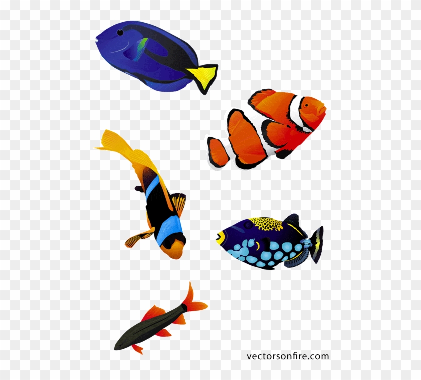 Ryby Akwariowe Kolorowy 熱帯魚 イラスト フリー 素材 Free Transparent Png Clipart Images Download