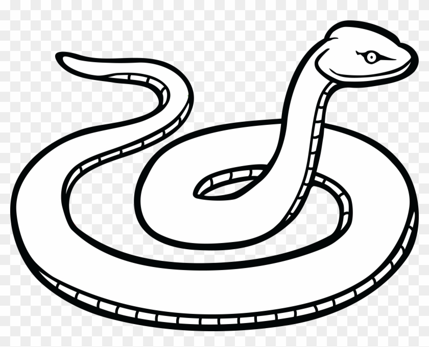 Free Clipart Of A Snake - Clip Art Of Snake #63353