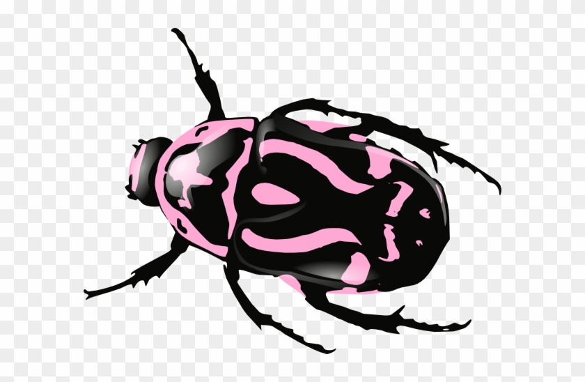 Beetle Pink Clip Art At Clker - Beetle Clip Art #63596