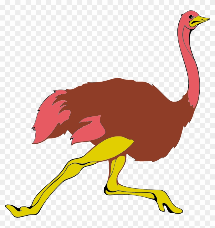 Ostrich Clipart - Running Ostrich Clipart #64083