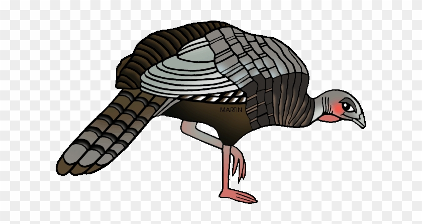 Wild Turkey Clip Art - Wild Turkey Clip Art #64094