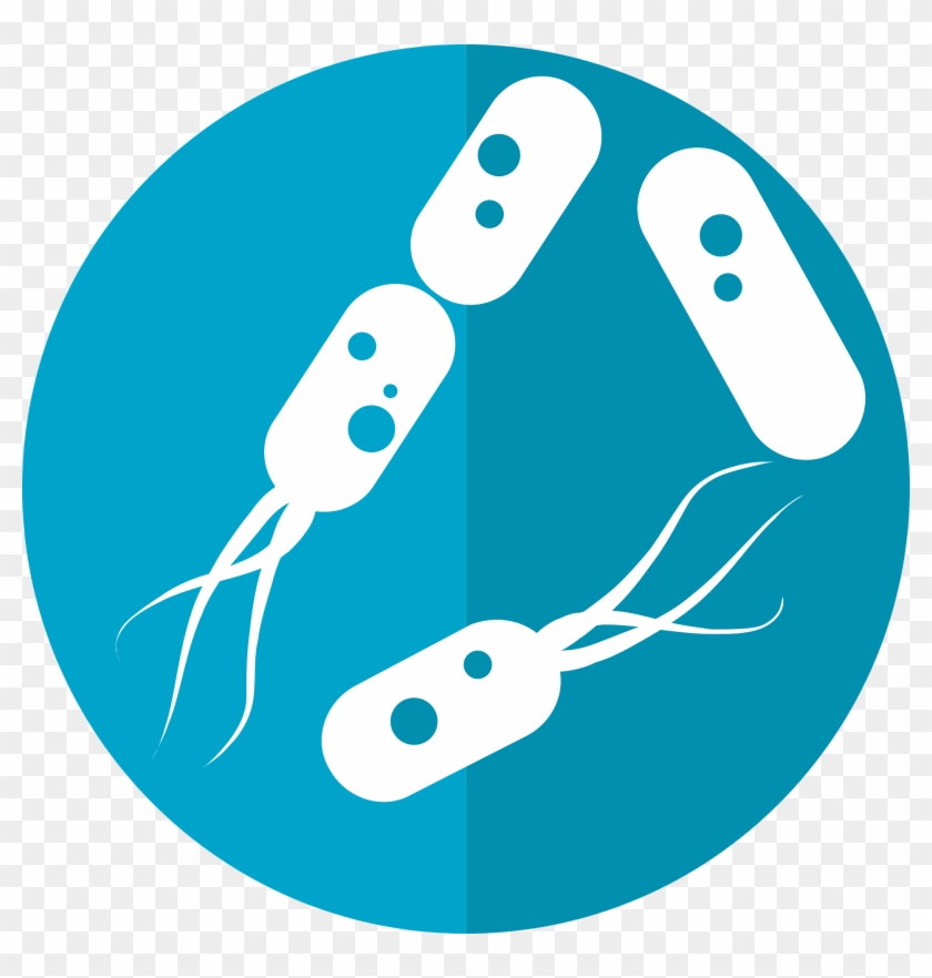 Bacteria Icon, Microbiome Icon - Bacterias Png #64139